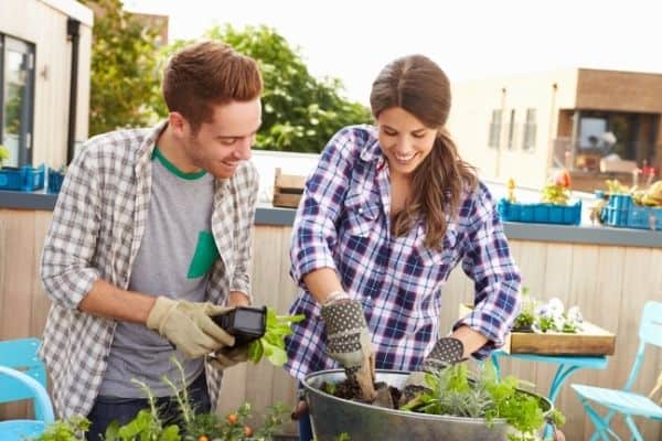 Gardening for Bonding Activities for Couples
